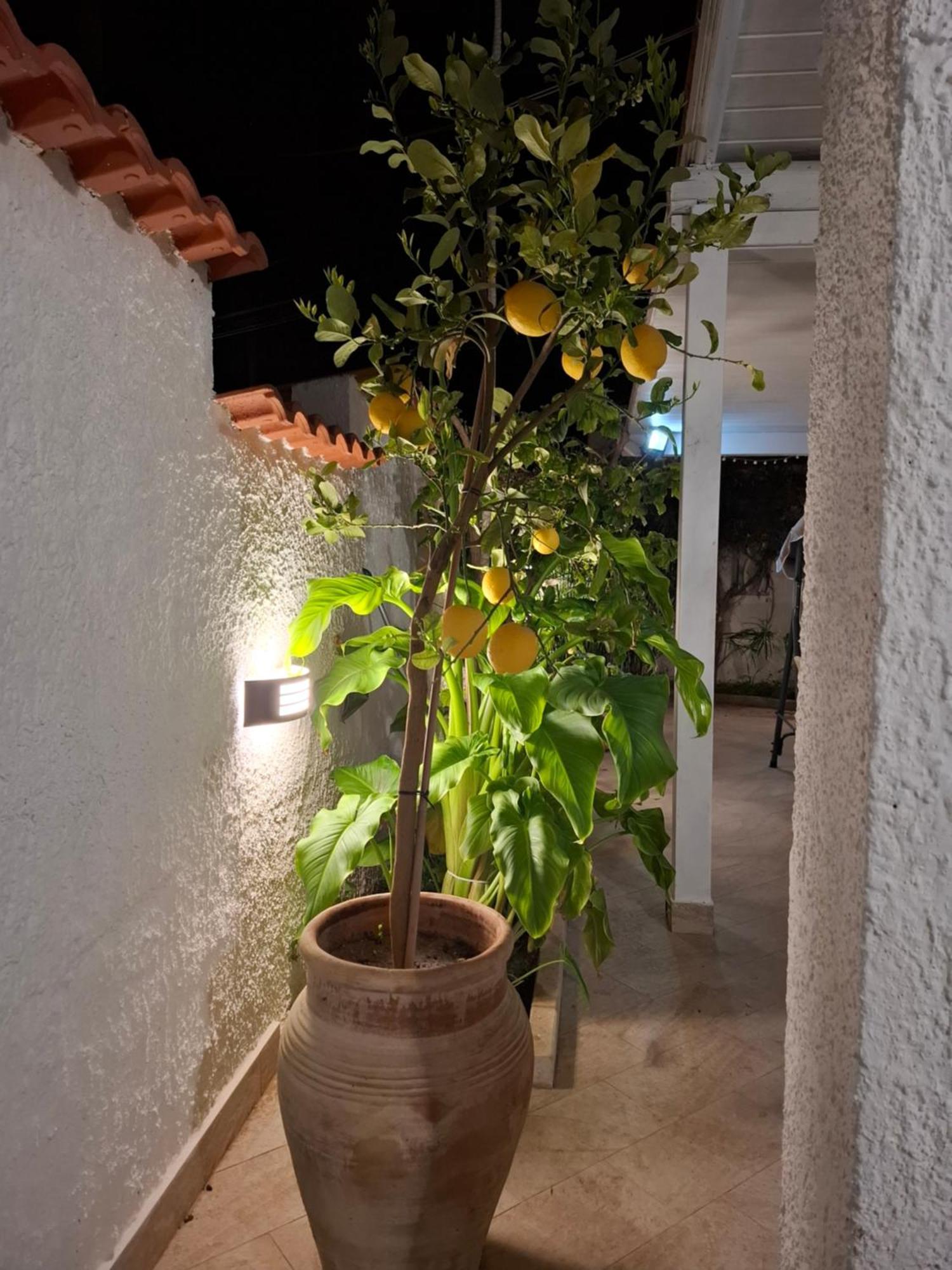 Toluammare Sicily Villa Santa Maria Del Focallo Bagian luar foto